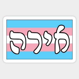 Ira - Wrath (Trans Pride Flag) Sticker